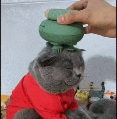 Cat Massager GIF - Cat Massager GIFs