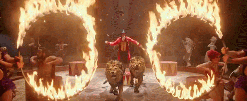 Ring Of Fire GIF - Ring Of Fire Jump Lion GIFs