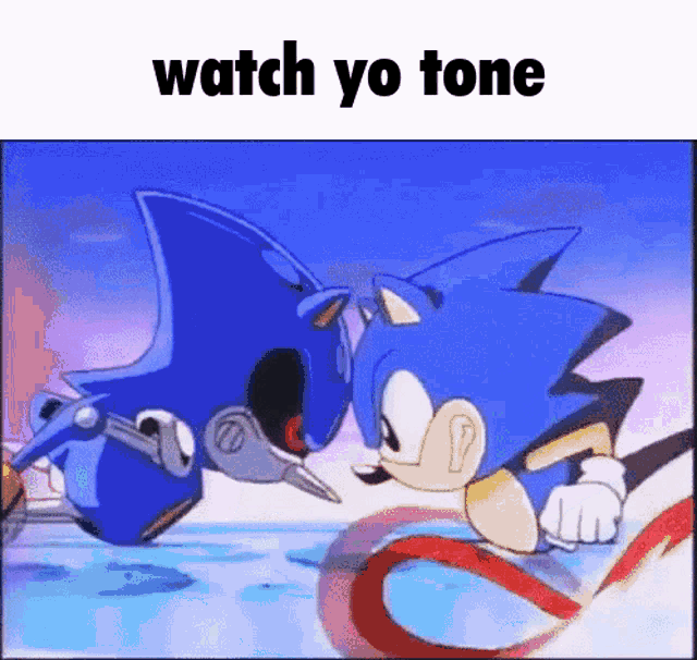 Sonic Sonic Ova GIF - Sonic Sonic Ova Metal Sonic GIFs