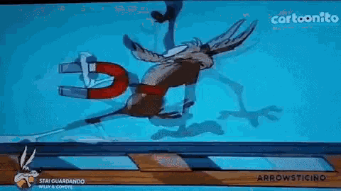 a cartoon of a coyote holding a magnet on a television screen .