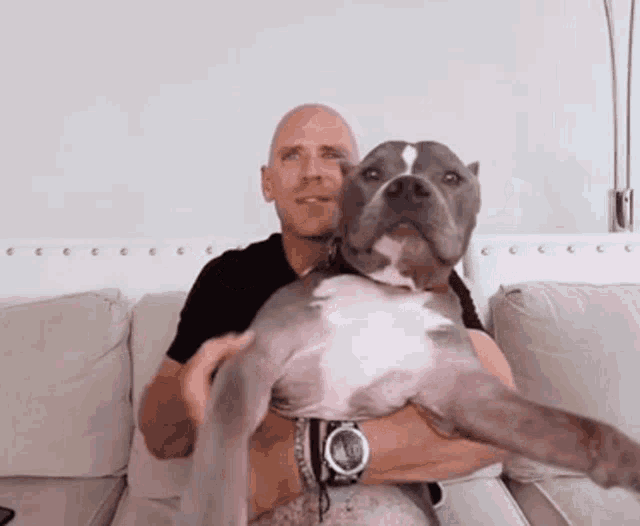 a bald man is holding a dog on a couch with a watch on his wrist