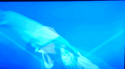 a woman is singing into a microphone in front of a blue backdrop