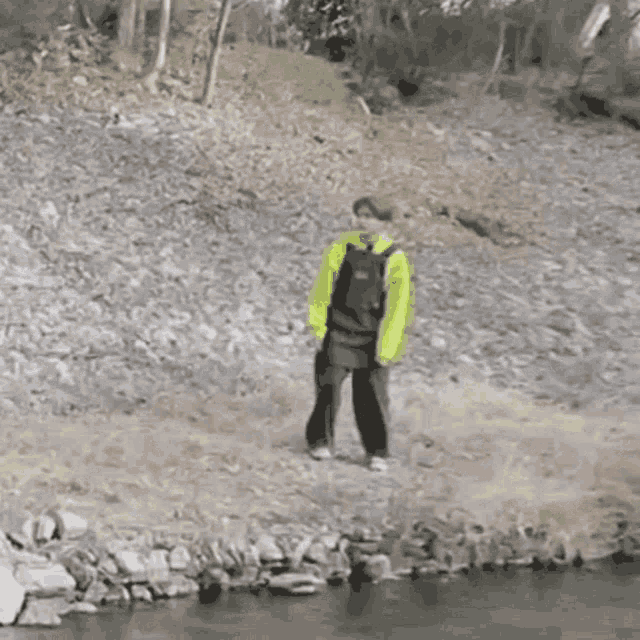 a person with a backpack is standing on a rocky shoreline near a body of water