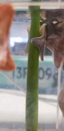 a blurred image of a person standing next to a green pole with the number 13f on it
