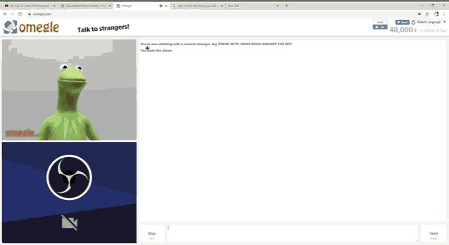 a screen shot of a frog on omegle
