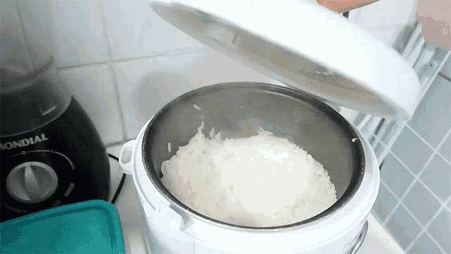 a mondial brand blender sits next to a rice cooker