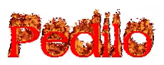 the word pedilo is written in red with flames coming out of it .