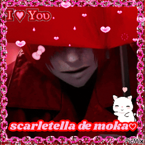 a picture of scarletella de moka with a cat