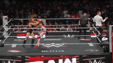 two wrestlers in a wrestling ring with netflix written on the ground