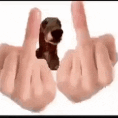 a person is giving a middle finger to another person .
