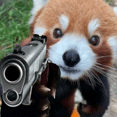 a close up of a red panda pointing a gun