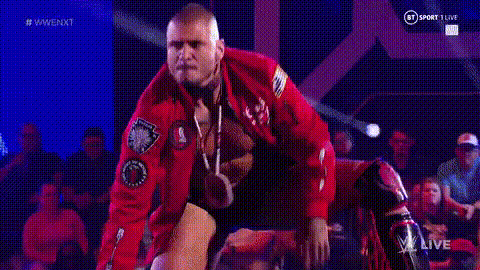 a wrestler is standing in a wrestling ring .