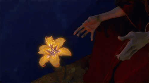 a person is holding a flower that is glowing in the dark .