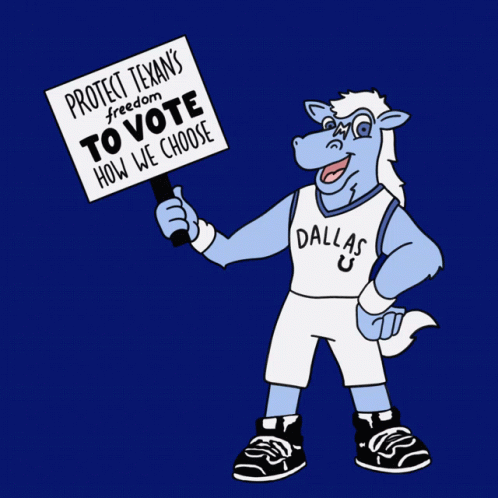 Protect Texans Freedom To Vote Vote How We Choose GIF - Protect Texans Freedom To Vote Vote How We Choose Texas GIFs