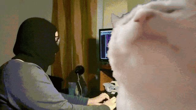 Vibe Vibing Cat GIF - Vibe Vibing Cat Vibetime GIFs