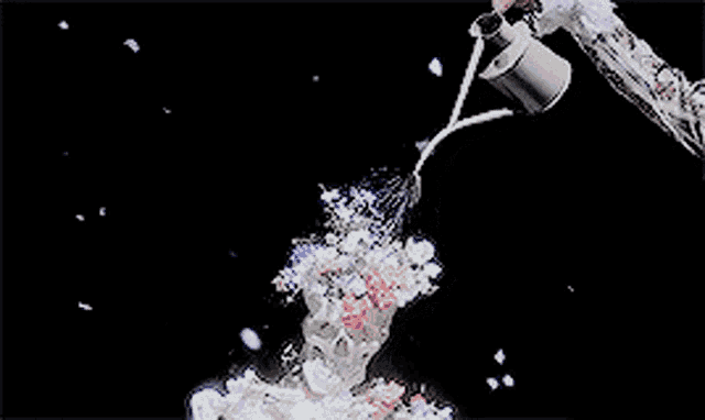 a person is pouring water into a vase of flowers .