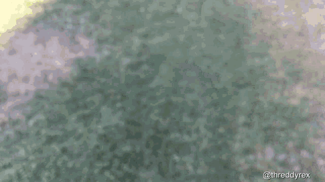 Threddy Threddyrex GIF