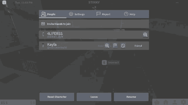 a screenshot of a game called stinky shows a person named kayla