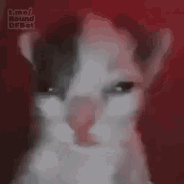 a blurry picture of a woman 's face with red hair and a red background .