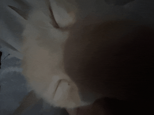 a close up of a person 's face with a dark background