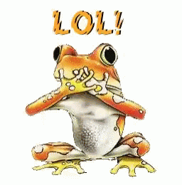 Losinj69 Frog GIF - Losinj69 Frog Lol GIFs
