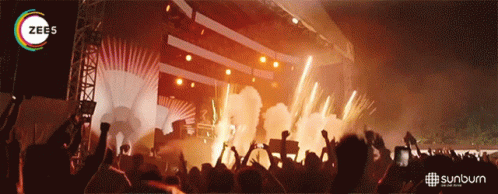 Yellow Claw Stage GIF - Yellow Claw Stage Perform GIFs