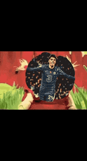 a picture of a soccer player with the number 29 on his shirt