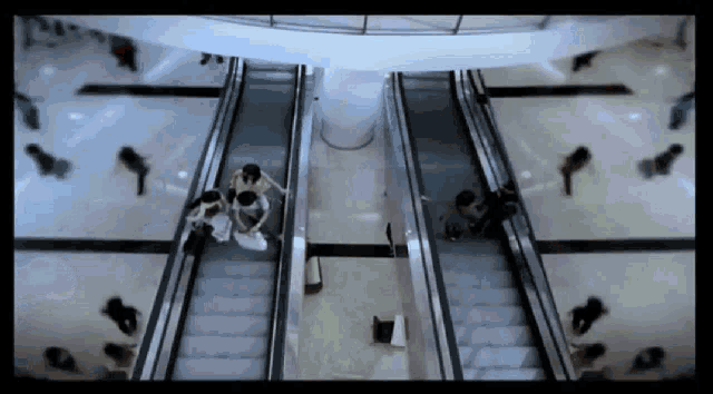 a group of people are riding escalators in a building