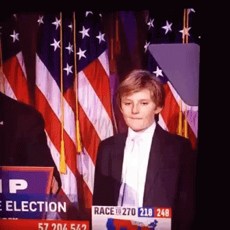 Barron Trump Election GIF - Barron Trump Election GIFs