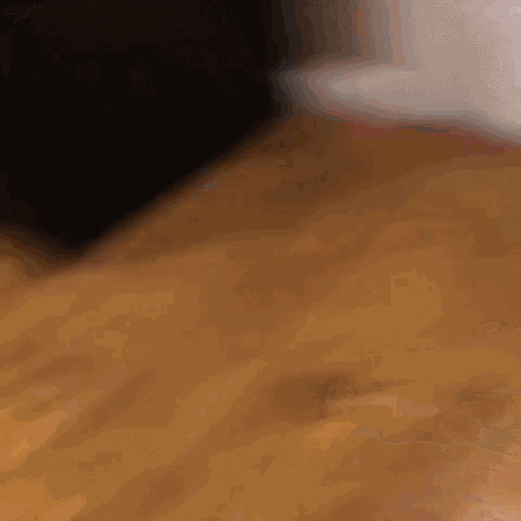 Dog Drag GIF