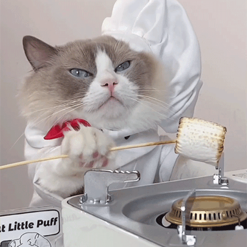 Cooking A Marshmallow Puff GIF - Cooking A Marshmallow Puff Meow Chef GIFs