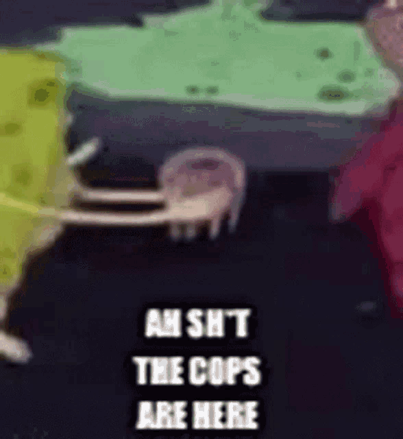 a cartoon of spongebob and patrick standing next to each other with the words `` ah sh t the cops are here ''