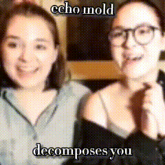 a picture of two women with echo mold decomposes you written above them