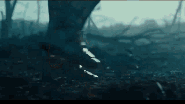 a close up of a person 's foot in the dark .