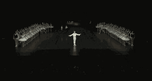 a large group of ballet dancers are dancing on a stage