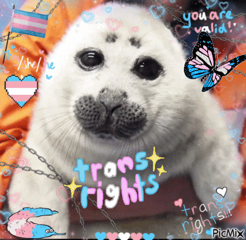 a picture of a seal with the words " trans rights " on it