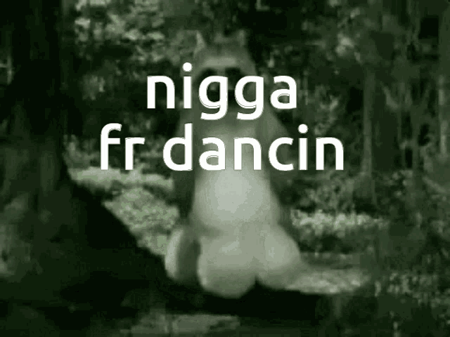 a picture of a raccoon with the words nigga fr dancin