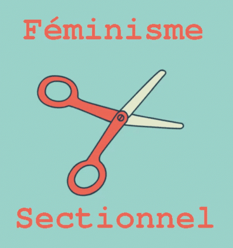 Féminisme Sectionnel GIF - Féminisme Sectionnel Féminisme Sectionnel GIFs