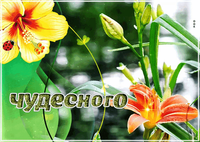 a greeting card with flowers and the words чудесно