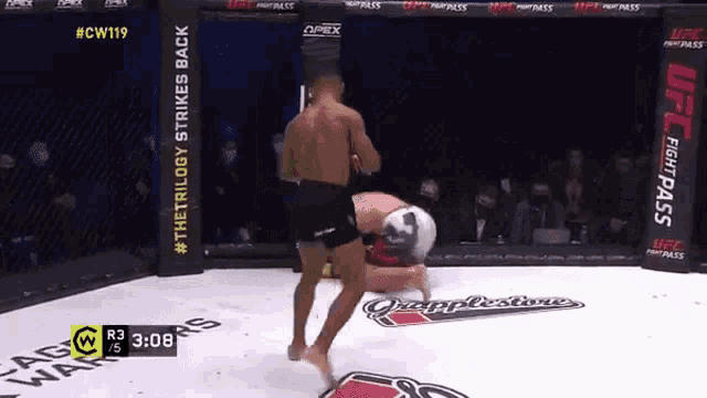 two men are fighting in a boxing ring with ufc fight pass signs behind them