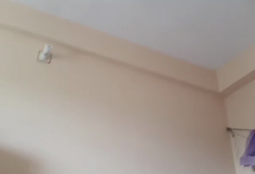 Hand Recorded GIF - Hand Recorded Room GIFs