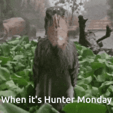 a bird with a large beak is standing in a field with the words when it 's hunter monday below it .