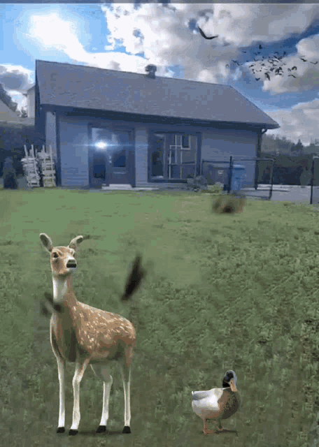 a deer and a duck standing in a grassy field in front of a house