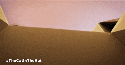 a cardboard box with the hashtag #thecatinthehat written on it
