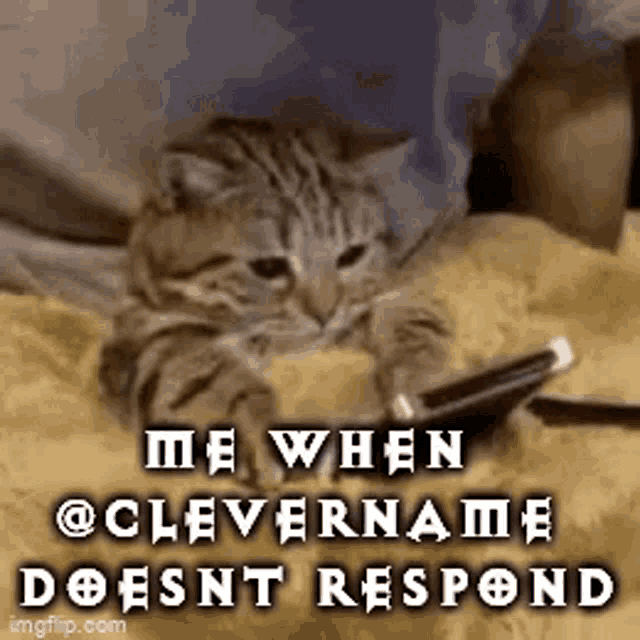 a cat is laying on a blanket looking at a cell phone with the caption `` me when @clevername doesnt respond ''