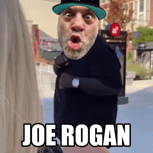 joe rogan is the name of the man shown in the picture