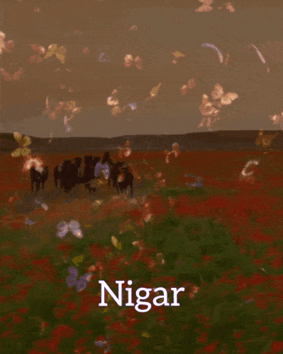 Nigar GIF - Nigar GIFs