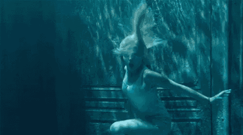 a woman is swimming underwater with a bunch of fish .
