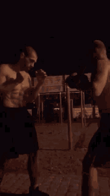 two men are boxing in a park at night without shirts on .