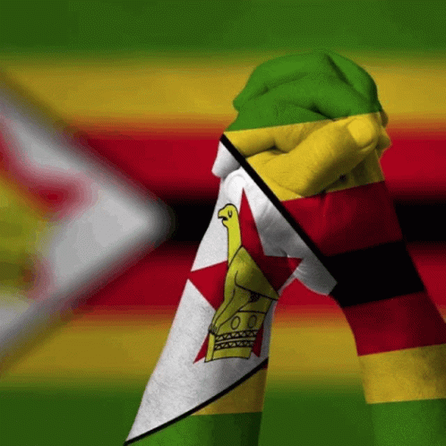 Zimbabwean Lives Matter Zimbo GIF - Zimbabwean Lives Matter Zimbabwe Zimbo GIFs